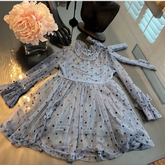 Girls Long Sleeve Polka Dot Tulle Formal Dress - Picture 6 of 7